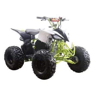 Raptor Quad Bike 125cc baru